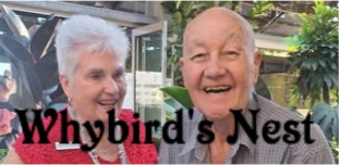 WhybirdsNest logo