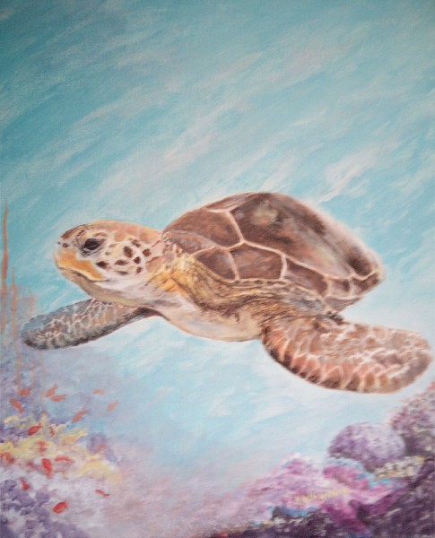 Placeholder Picture